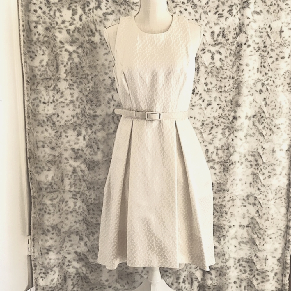 WHBM Sleeveless Fit and Flare Dress. NWT